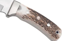 Couteau Puma IP Schwarzwild 338212 lame guthook 12cm manche bois de cerf + étui en cuir