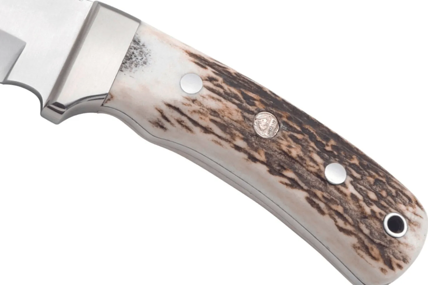 Couteau Puma IP Schwarzwild 338212 lame guthook 12cm manche bois de cerf + étui en cuir