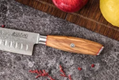 Couteau santoku 18cm Wusaki Fujiko 10CR damas