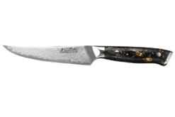 Couteau à steak Wusaki Sakin Damas 10Cr 13cm manche en fibre de carbone et feuille d'or