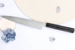 Couteau yanagiba japonais 21cm Sakai Takayuki Nanairo manche en résine ABS laquée