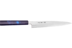 Couteau yanagiba japonais 21cm Sakai Takayuki Nanairo manche en résine laqué bleu