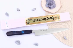 Couteau yanagiba japonais 21cm Sakai Takayuki Nanairo manche en résine laqué bleu