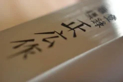 Couteau Yanagiba Masahiro lame 27cm acier MBS-26