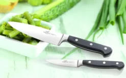 Fourchette à viande Sabatier International Pluton pics 15cm manche 3 rivets