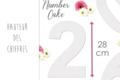 Kit number cake Scrapcooking 9 chiffres - Réutilisable