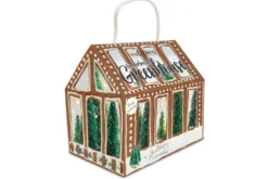 Kit pâtisserie maison pain d'épice 3D Scrapcooking Gingerbread Greenhouse 8 pièces