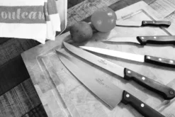 Malette de 5 couteaux Sabatier Cuisine d'Aujourd'hui fabriqués en France