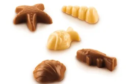 Moule en silicone professionnel Silikomart Easy Choc fritures en chocolat 44x38mm