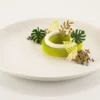 Moule en silicone professionnel Silikomart Naturae Jardin 470x270mm 68 feuilles