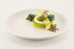 Moule en silicone professionnel Silikomart Naturae Jardin 470x270mm 68 feuilles