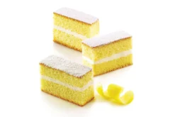 Moule en silicone professionnel Silikomart Silicon Flex 12 mini cakes