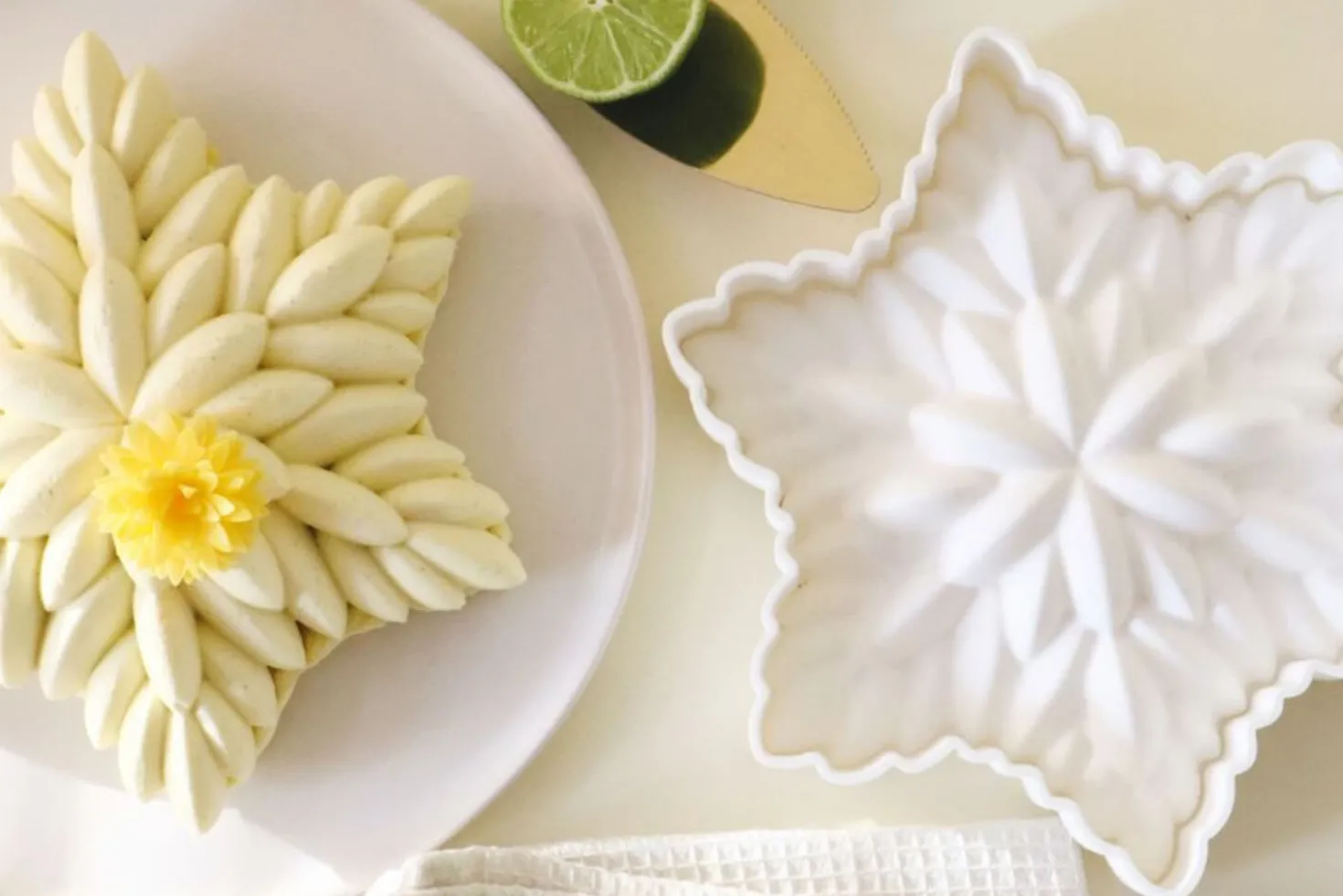 Moule à entremets Céleste 3D Scrapcooking en silicone