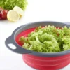 Passoire pliable Westmark ø22cm rouge et grise