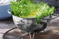 Passoire WMF Gourmet ø24cm en acier inox 18/10 Cromargan