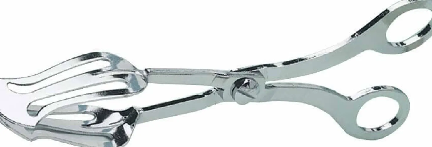 Pince à gâteaux large 21cm acier chromé
