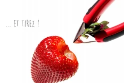 Équeuteur de fraises OXO rouge à pince en inox
