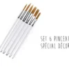 Set de 6 pinceaux pâtissiers spécial décoration