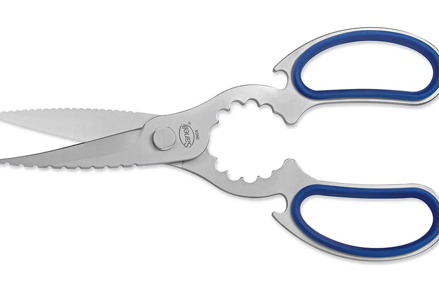 Trousse professionnelle du poissonnier 5 pièces Sanelli Skin